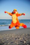  beach fursuit jumping looking_at_viewer meerkat ocean orange orange_fur real sand sea seaside solo unknown_artist waji water woo_yay 