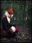  female forest fox fursuit jacket mammal photo qarrezel real realistic solo tree wood woods 
