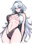  1girl bare_shoulders breasts fate/prototype fate_(series) jonylaser long_hair looking_at_viewer merlin_(fate/prototype) navel purple_eyes silver_hair simple_background smile solo swimsuit white_background 