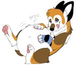  belly_grab canine corgeh corgi dog fat female gurgle licking licking_lips mammal obese overweight plain_background post_vore stuffed tongue vore white_background 