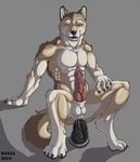  2010 anal_insertion balls canine danza dildo insertion knot male masturbation muscles nude penis sex_toy solo spread_legs spreading wolf 