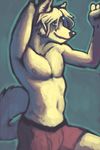  arctic_wolf boxers canine hair heartwood male mammal pose solo ssirrus underwear wolf 