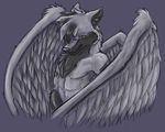  canine kiwaku male solo tail tempest_omega wings wolf 