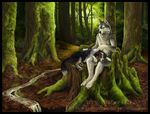  2009 amber_hill anthro blue_eyes canine claws colored couple dog feral forest framed husky male nude outside pet sitting smile stream tree watermark 