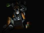  brown_eyes canine computer digitigrade female fox fuckie green_eyes imminent_rape laptop looking_at_each_other male raksha wolf 