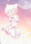  animal_ears cat_ears cat_tail crossdress crossdressing kamiyoshi tail thoto trap white_hair 