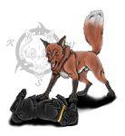  canine collar domination feral fox hindpaw male sheath submissive wolf xarox 