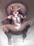  2010 anus balls blush canine chair fox furniture glasses green_eyes hair kipfox looking_at_viewer male mist penis shirt solo spread_legs spreading tie twinkle-sez 