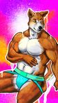  brown_eyes canine dog jockstrap male mikalapine muscles solo topless 