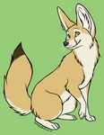  canine fennec feral fox mammal non-anthro solo wingedwolf 