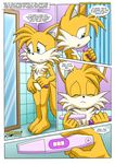  breasts canine female fox hedgehog miles_prower mobian mobius_unleashed nude pussy sega sonic_(series) tails 