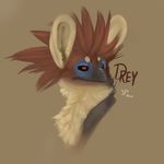  avian drey feathers feral gryphon hoot solo 