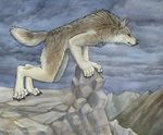  canine claws detailed_background leaning male mammal myenia nude outside solo wolf 