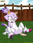 blaze_the_cat breasts cat dildo feline female mobius_unleashed nude orgasm plump_labia pussy pussy_juice sex_toy solo sonic_(series) spreading 