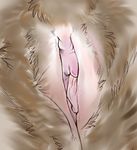  2010 canine close-up dipper female nude pussy realistic solo 