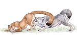  anus ball_licking balls canine cougar ebonytigress feline feral gay licking male oral penis raised_tail tail tongue wolf 