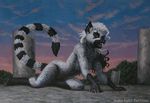  female karol_pawlinski lemur shadowsquirrel solo 