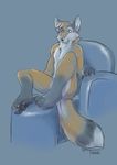  anthro canine chair cute fox kintuse male mammal nude sitting solo tassy 