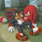  echidna eyes_closed gay gree hedgehog knuckles_the_echidna licking male masturbation outside penis sega sex shadow_the_hedgehog sonic_(series) sweat tongue 