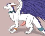  dragon feral furred_dragon knot male penis precum solo wings yang738 