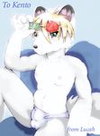  bulge canine eyewear fox girly green_eyes kento_foxeh lucah male mammal panties penis solo sunglasses transmetropolitan underwear 