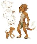 afd-yred cat feline lion loincloth male moomba underwear 