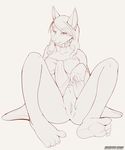  anubian_jackal barefoot bottomless canine clothed clothing egyptian female half-dressed hindpaw jackal looking_at_viewer mammal paws plain_background plantigrade pussy scappo shirt shirt_lift solo tameri_(character) white_background 