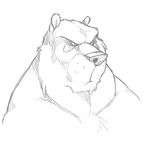  2010 bear male sketch solo unimpressed wolfy-nail 