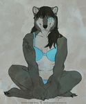  2010 bear bra canine cunningfox female green_eyes hybrid panties sitting solo underwear wolf 