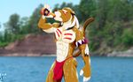  abs biceps big_muscles brown_fur bulge cougar drinking eyes_closed fabfelipe feline fur lake loincloth male mammal muscles orangina outside pecs photo_background pose product_placement shiny solo standing topless tribal underwear water wet 