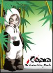  bear candy fursuit gaara human lollipop mammal naruto panda pocket spade13th unknown_artist 