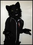  black cat feline fur fursuit han_characters hoodie mammal photo plain_background qarrezel real realistic solo white_background 