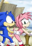  amy_rose beach cliff cum cum_inside doggy_position female from_behind gloves hedgehog male mobian mobius_unleashed nude penetration penis pink pussy seaside sega sex sonic_(series) sonic_the_hedgehog table vaginal vaginal_penetration 