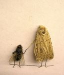  hand_holding insect mixed_media moth pencils unknown_artist 