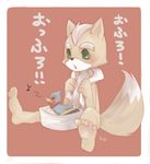  canine falco_lombardi fox fox_mccloud green_eyes human_feet japanese_text male mammal nintendo rubber_duck star_fox tail text towel video_games 