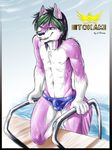  2008 abs black_hair bulge canine colored dog ear_tufts eldiman hair highlights husky kneeling looking_at_viewer male menacing nipples outside pool purple solo speedo tail teeth tokami underwear wet 