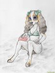  beach_ball bikini black_nose blue_eyes bow breasts claws clothed coonkun cub female long_ears sitting skimpy solo 