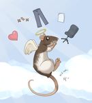  &hearts; &lt;3 ajin angel chair clothing cute female feral halo mammal non-anthro pants rat rodent solo wings 