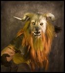  beast brown fur fursuit horn horns looking_at_viewer mane monster photo qarrezel real robes solo tusks 