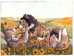  aru border_collie canine dog feline feral flower flowers happy hybrid hyuga leopard lion mammal paso tiger 