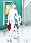  2007 abs balls canine dog hushhusky husky male nude raised_tail sheath shower soap solo tail tile towel 