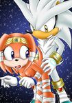  breasts female from_behind gloves hedgehog male mobius_unleashed nude penetration sega sex silver_the_hedgehog sonic_(series) straight tikal_the_echidna 
