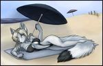  beach blue_eyes breasts canine chest_tuft female fox grey hair looking_at_viewer outside seaside skimpy solo swimsuit tail towel umbrella unknown_artist water wolf 