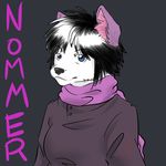  black blue canine chelle dark dog eyes fur hair jacket nommer pink popcornkitten purple scarf solo white 