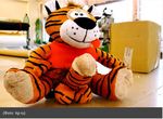  balls erection feline male penis plushie solo taking_it_way_too_far tiger weenie_babies what 