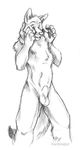  balls blackteagan canine fox male nude sheath sketch solo 