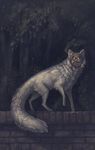 background canine dimespin feral fox house nightmare_fuel no_face smoke solo staring wall 
