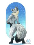  arctic_fox canine digitigrade female fox kacey looking_at_viewer smile solo standing stars teeth 