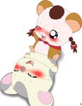  blush hamster hamtaro_(series) oxnard pepper sex 