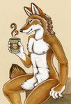  2010 balls canine coffee coyote male nude sheath solo xianjaguar 